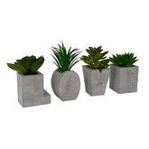 Jg planta art decor 4pz 5.5x4x6cm
